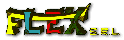 Logo Flex Srl
