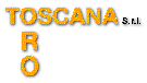 LOGO TOSCANA ORO SRL - AREZZO - ITALY
